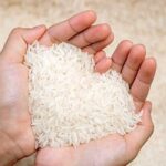 rice