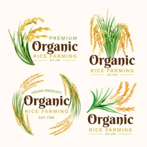 rice logo collection 52683 47436